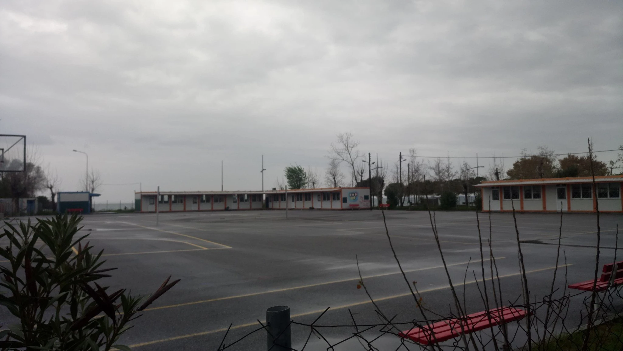 92053136-2940106259413893-7850361165161955328-n.jpg