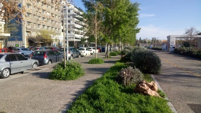 paralia-3.jpg