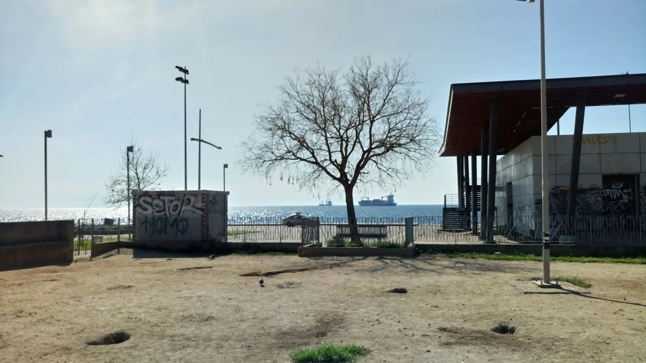 paralia-6-O1CXc.jpg