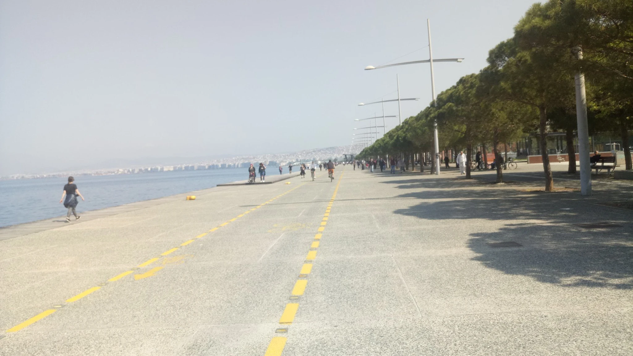 95097266-331943661119515-7456005003279335424-n.jpg