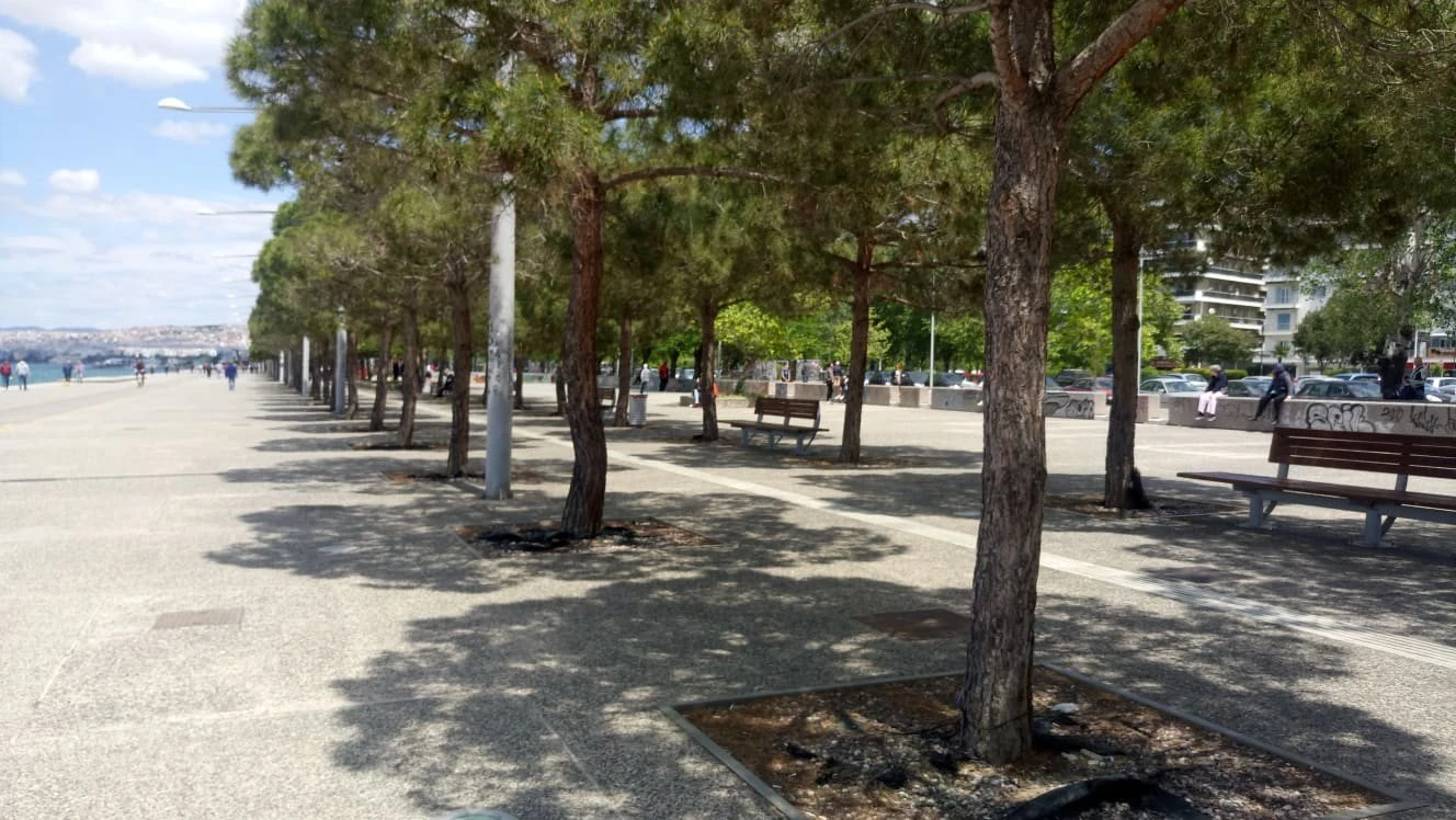 paralia-3-vKHC7.jpg