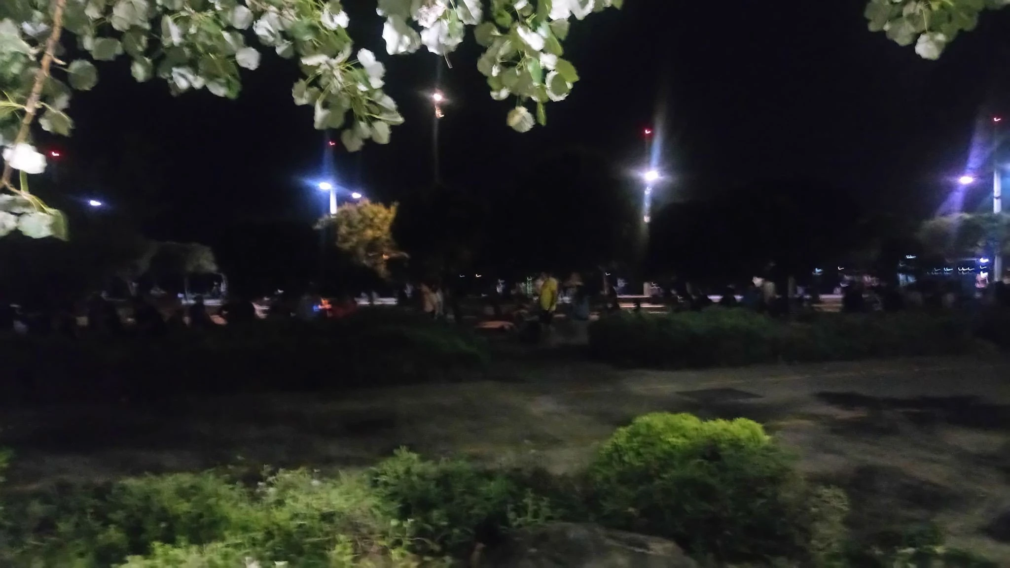 paralia-2.jpg