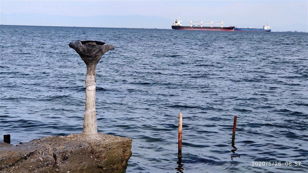 paraliaa.jpg