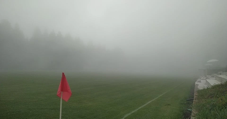 aris-150820.jpg