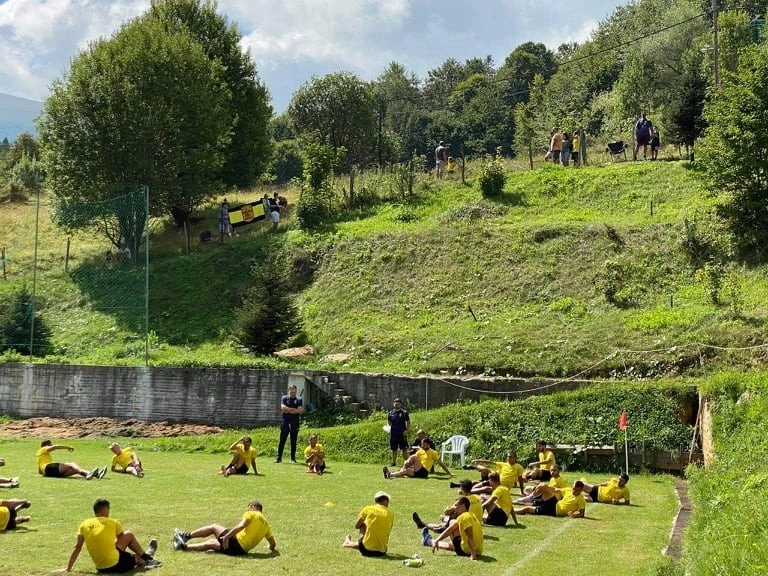aris-2208204.jpg