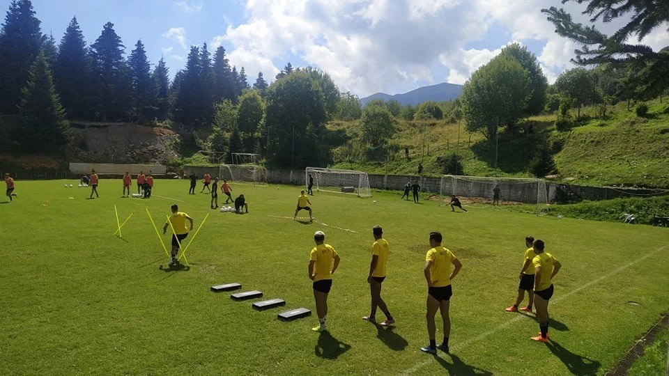 aris-2308204.jpg