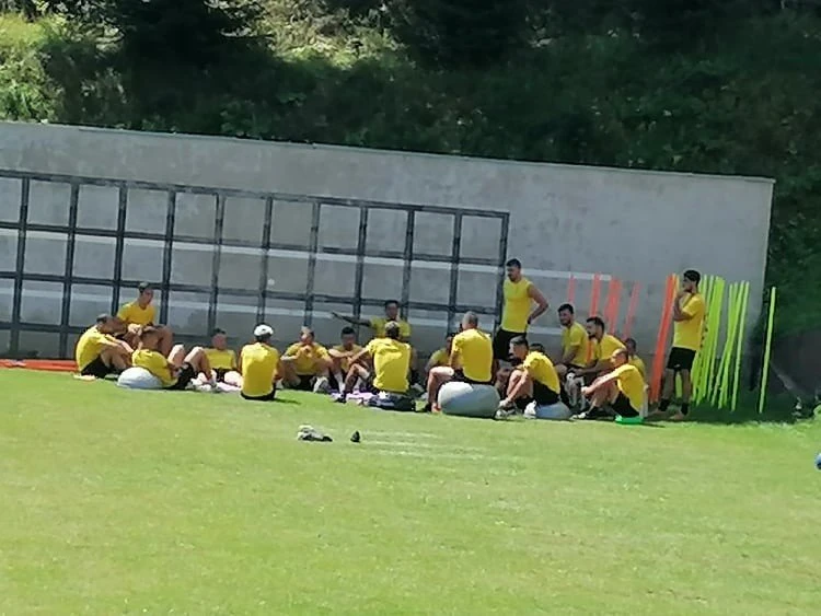 aris-2308205.jpg