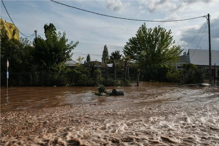 karditsa04.jpg