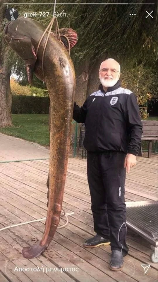 ivan.jpg
