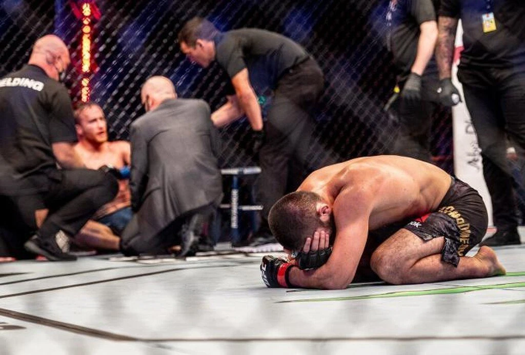 ufc2.jpg