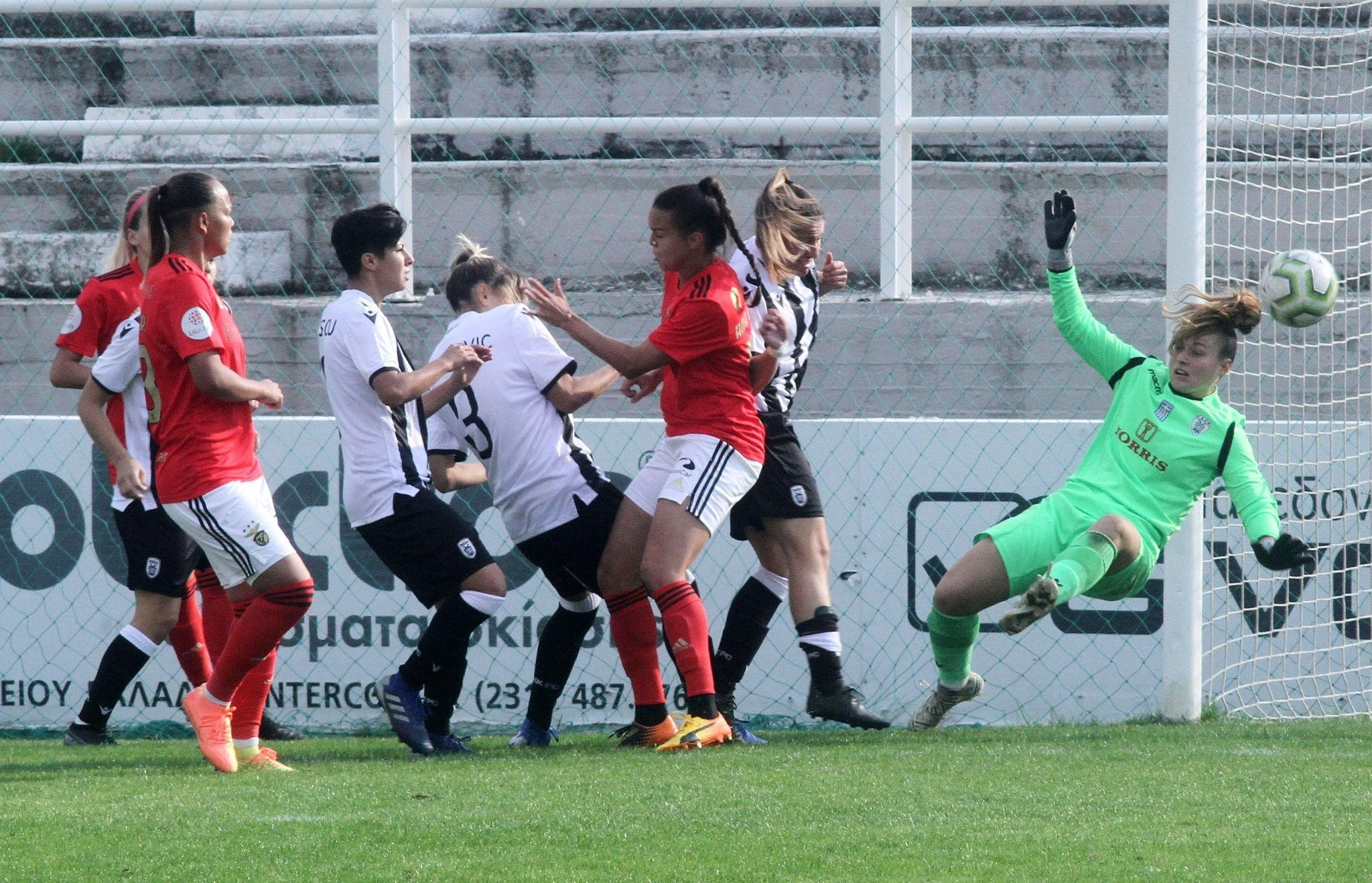 paokbenf.jpg