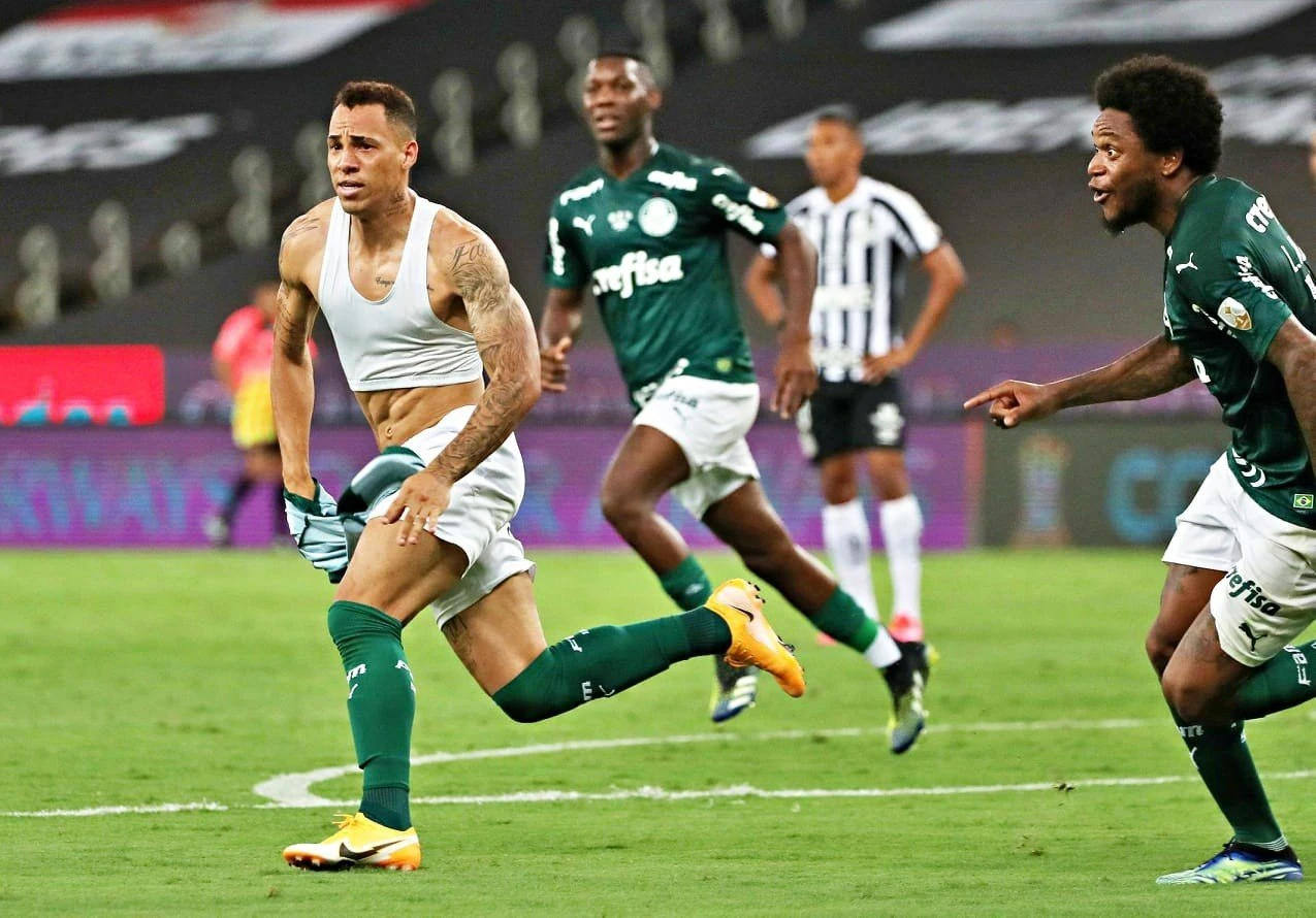 palmeiras-v4NVD.jpg