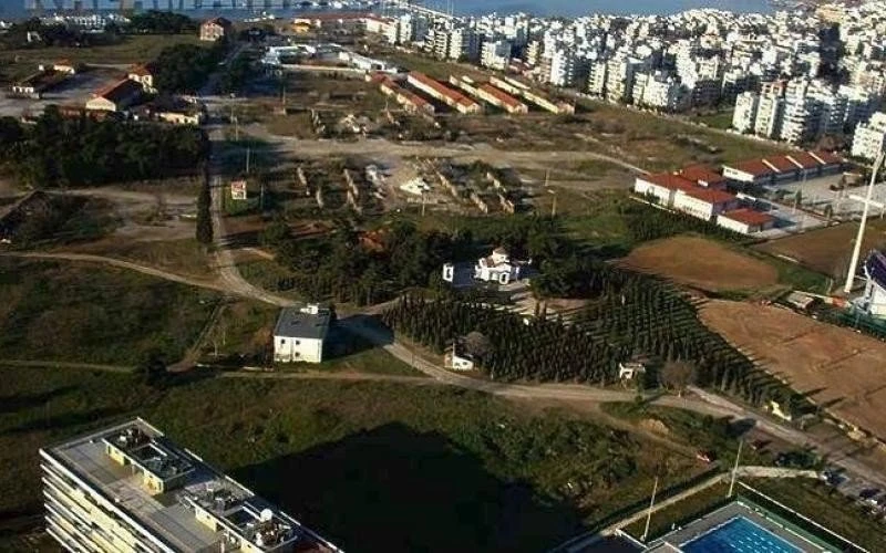 kodra-5.jpg