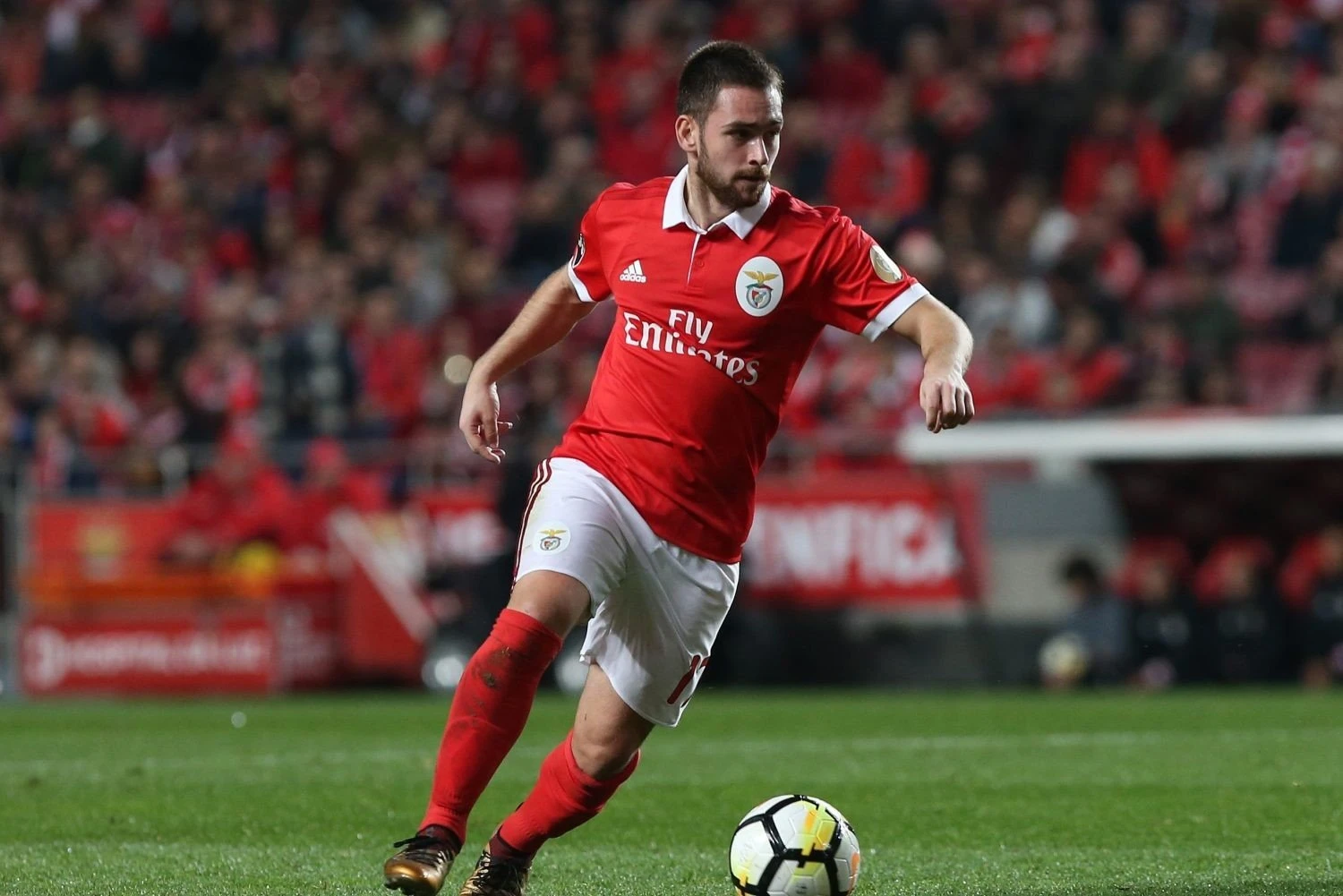 zivkovic-benfica.jpg