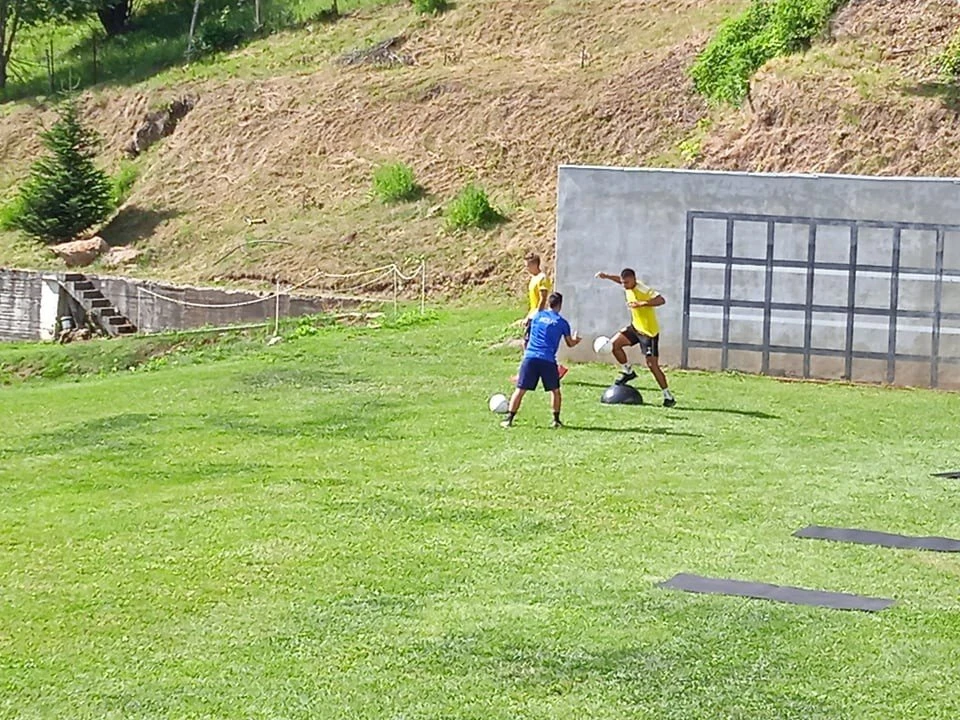 aris-2.jpg