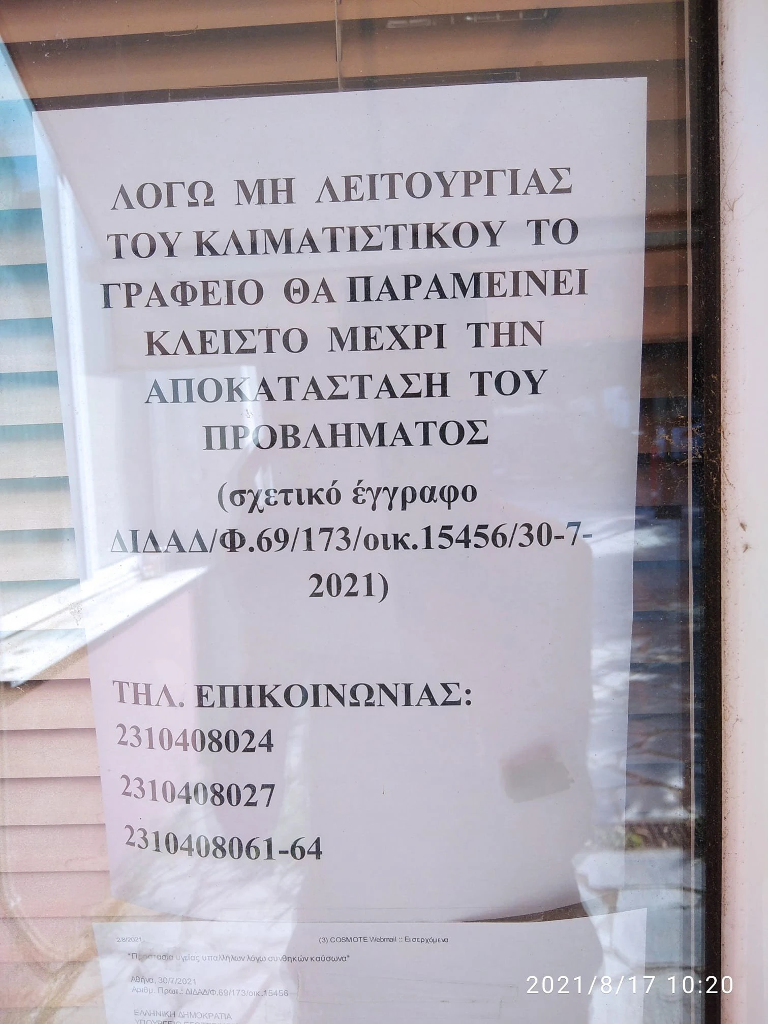 49625877-2191410604242422-775150964528119808-n.jpg