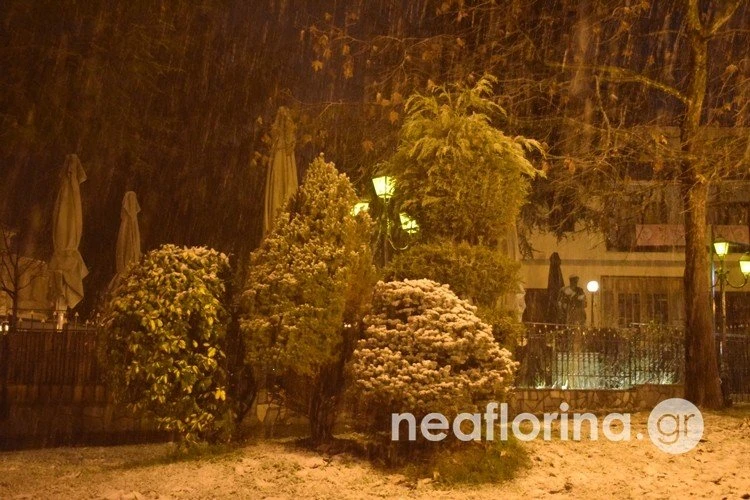 florina-1.jpg