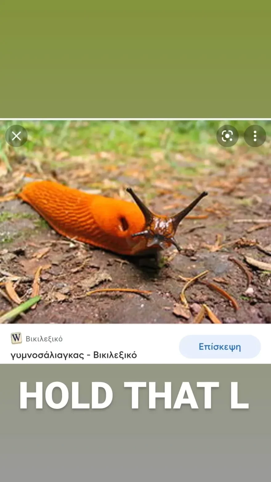 snik.webp