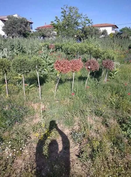 54.jpg