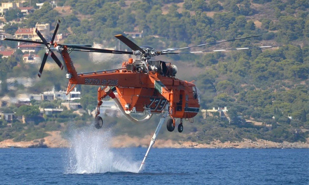 erickson.jpg