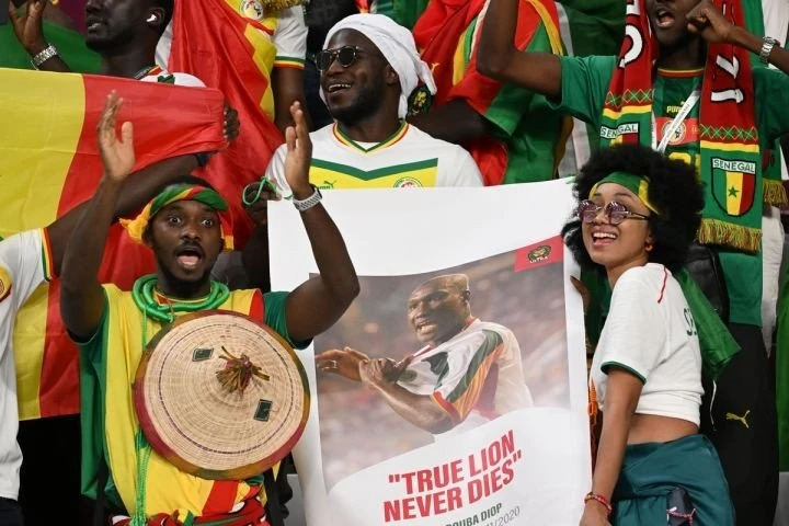 diop-2.jpg