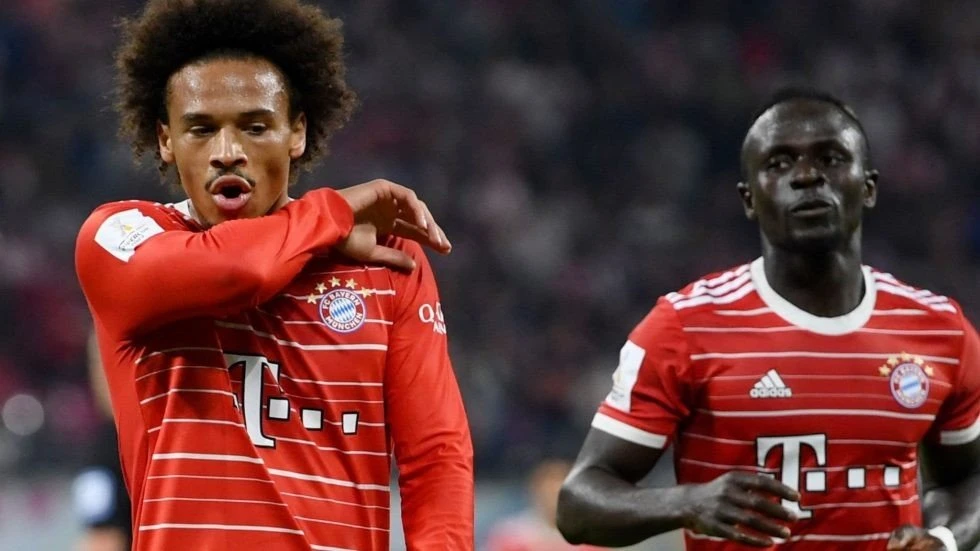 sane-mane.jpg