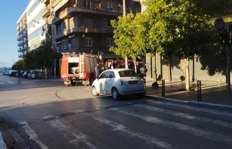 fotia.jpg