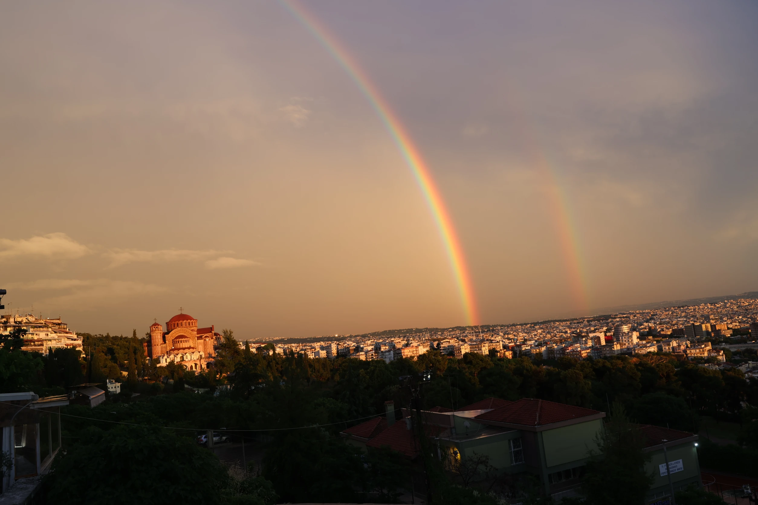 6570048.jpg