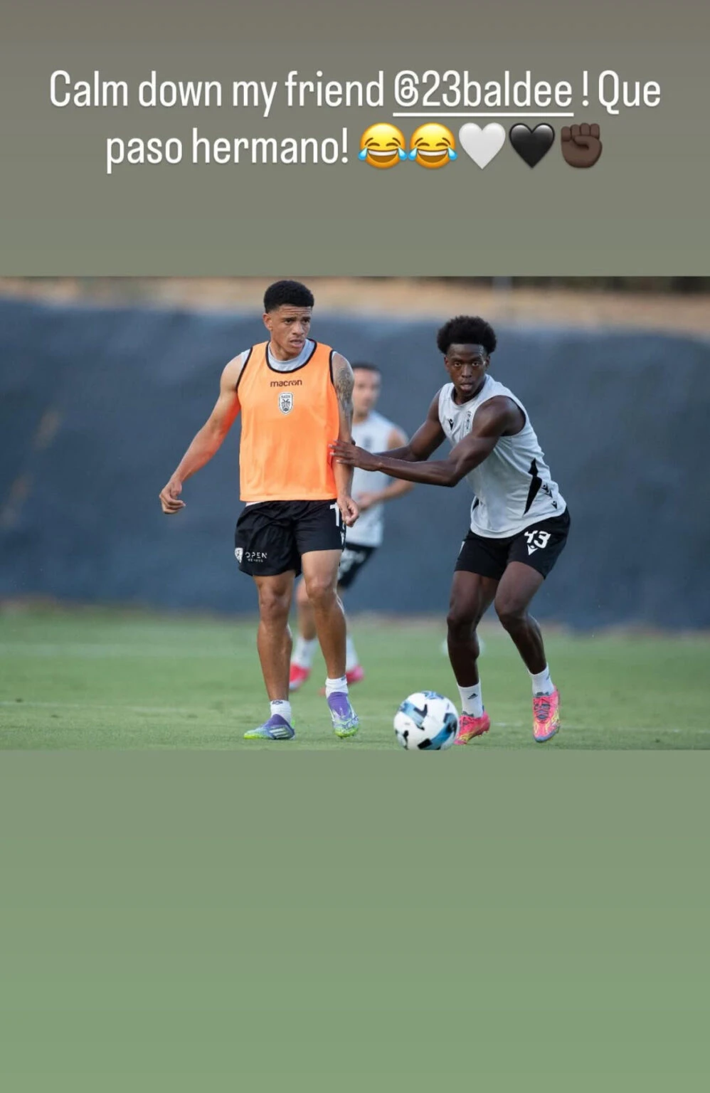 taison-balde.jpg