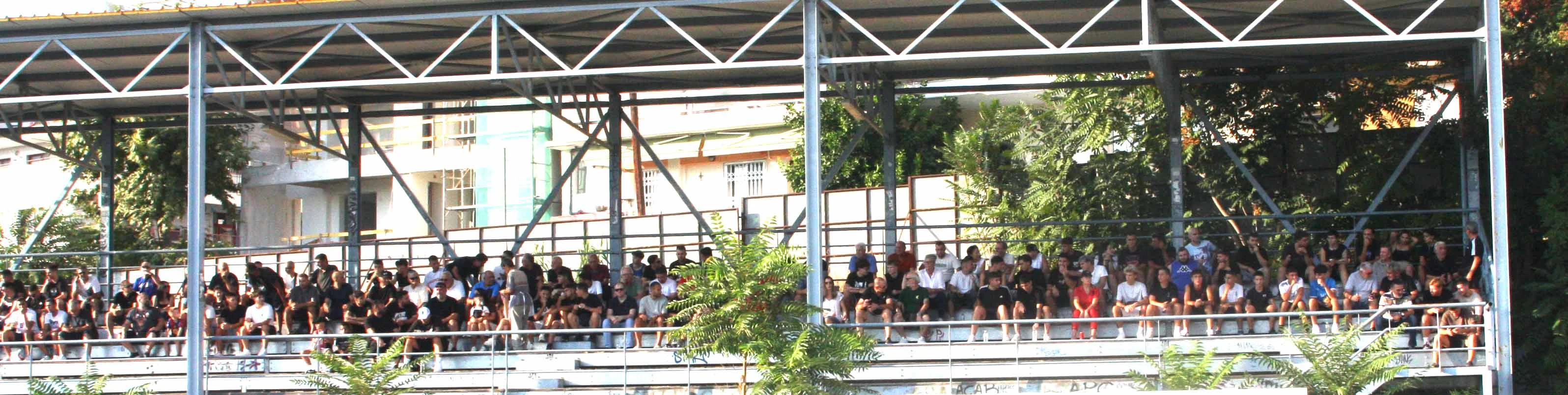 81.JPG