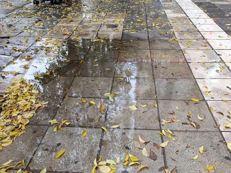 thessaloniki-vroxi-1.jpg