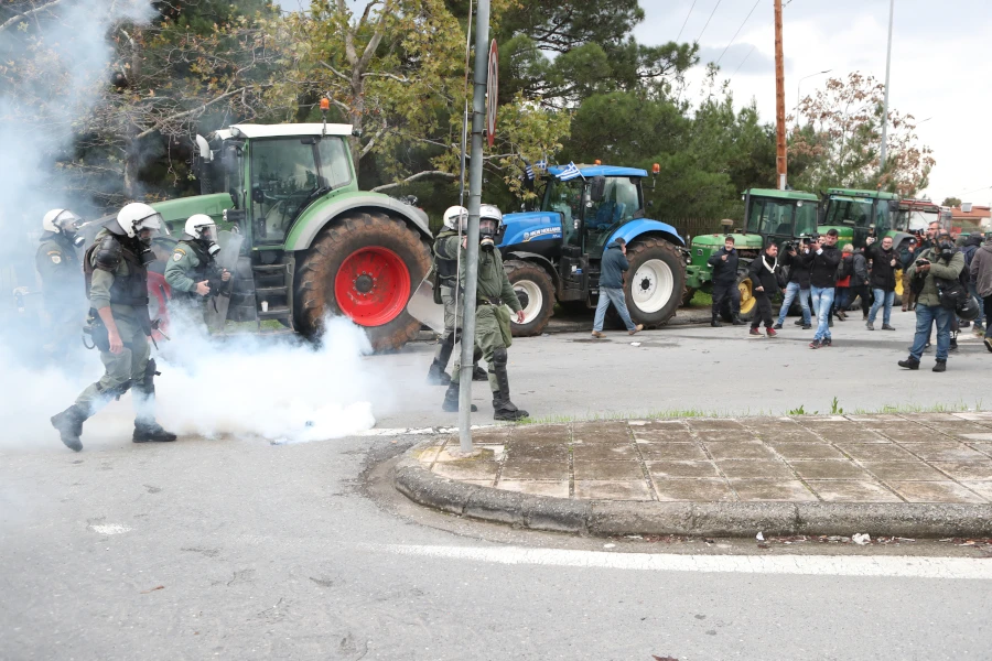 agrotes-mat.jpg