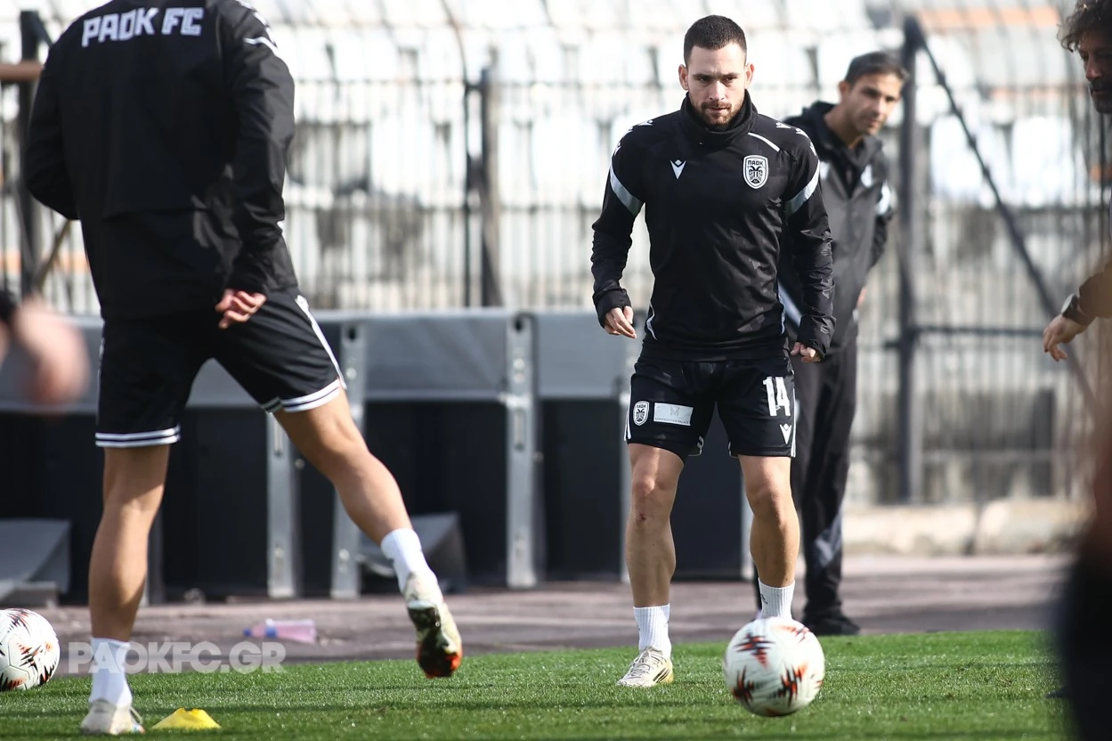 zivkovic-bTCs5.jpg