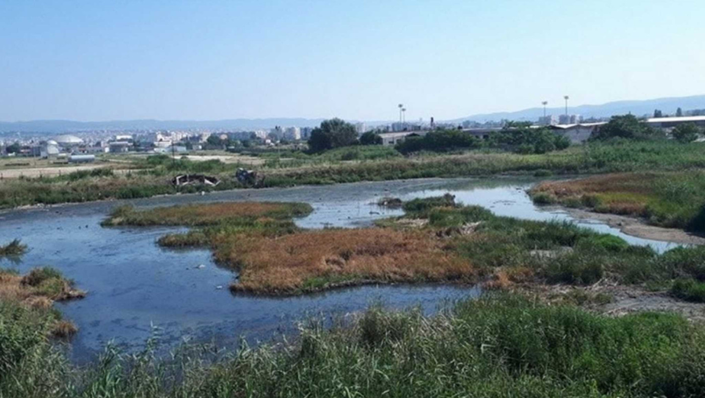 Θεσσαλονίκη: Μια χαβούζα-εστία μόλυνσης, μεταξύ βυρσοδεψείων και Δενδροποτάμου