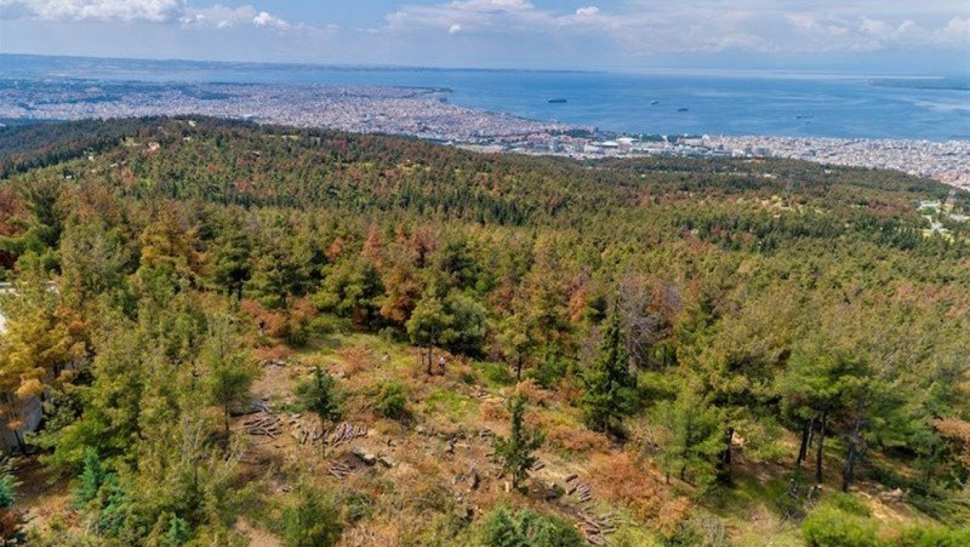 Θεσσαλονίκη: Ωρολογιακή βόμβα το δάσος του Σέιχ Σου
