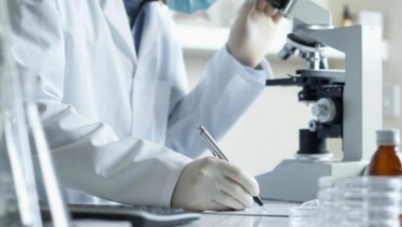Ευλογιά των πιθήκων: Ο ΠΟΥ ζητάει «επείγουσα δράση» στην Ευρώπη λόγω της ραγδαίας αύξησης