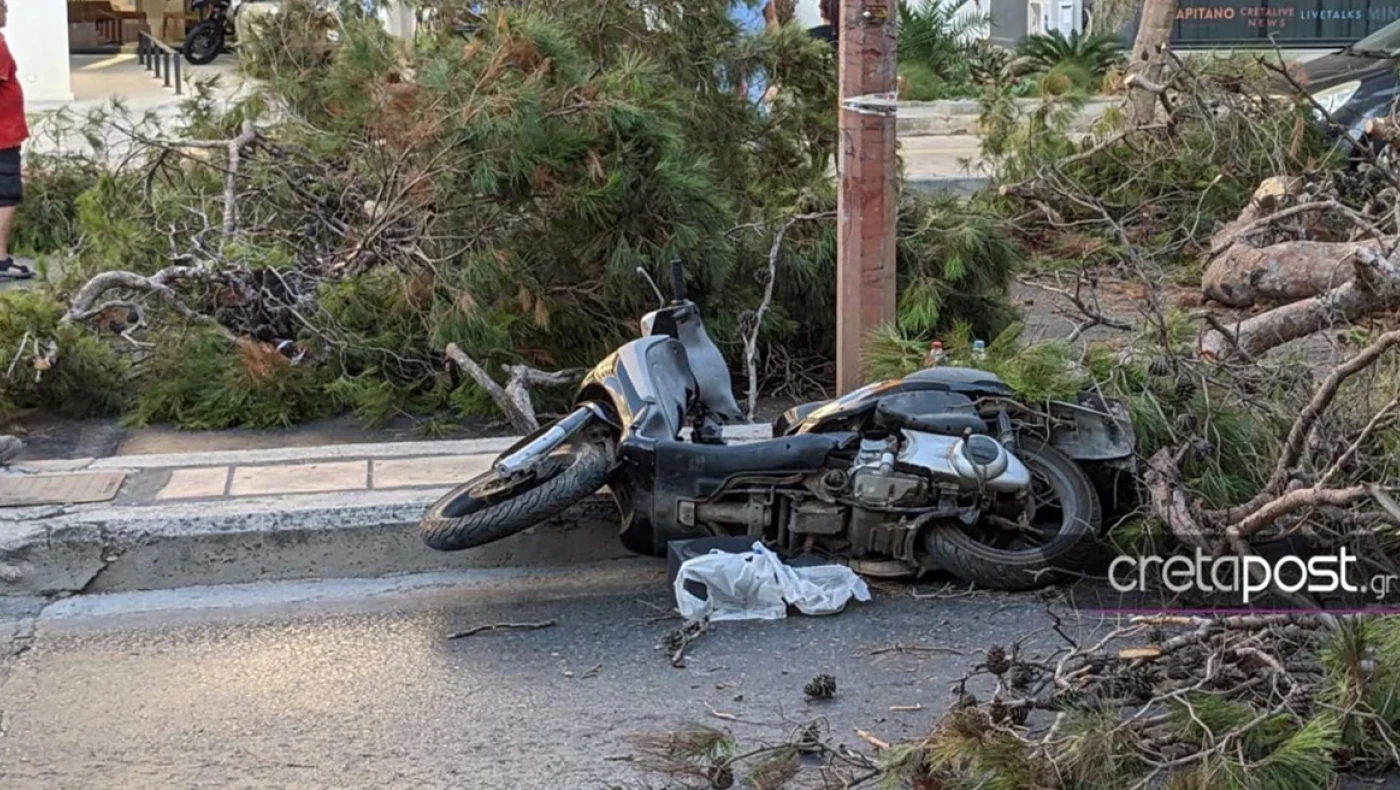 Συγκλονίζει η σύζυγος του 50χρονου που καταπλακώθηκε από δέντρο