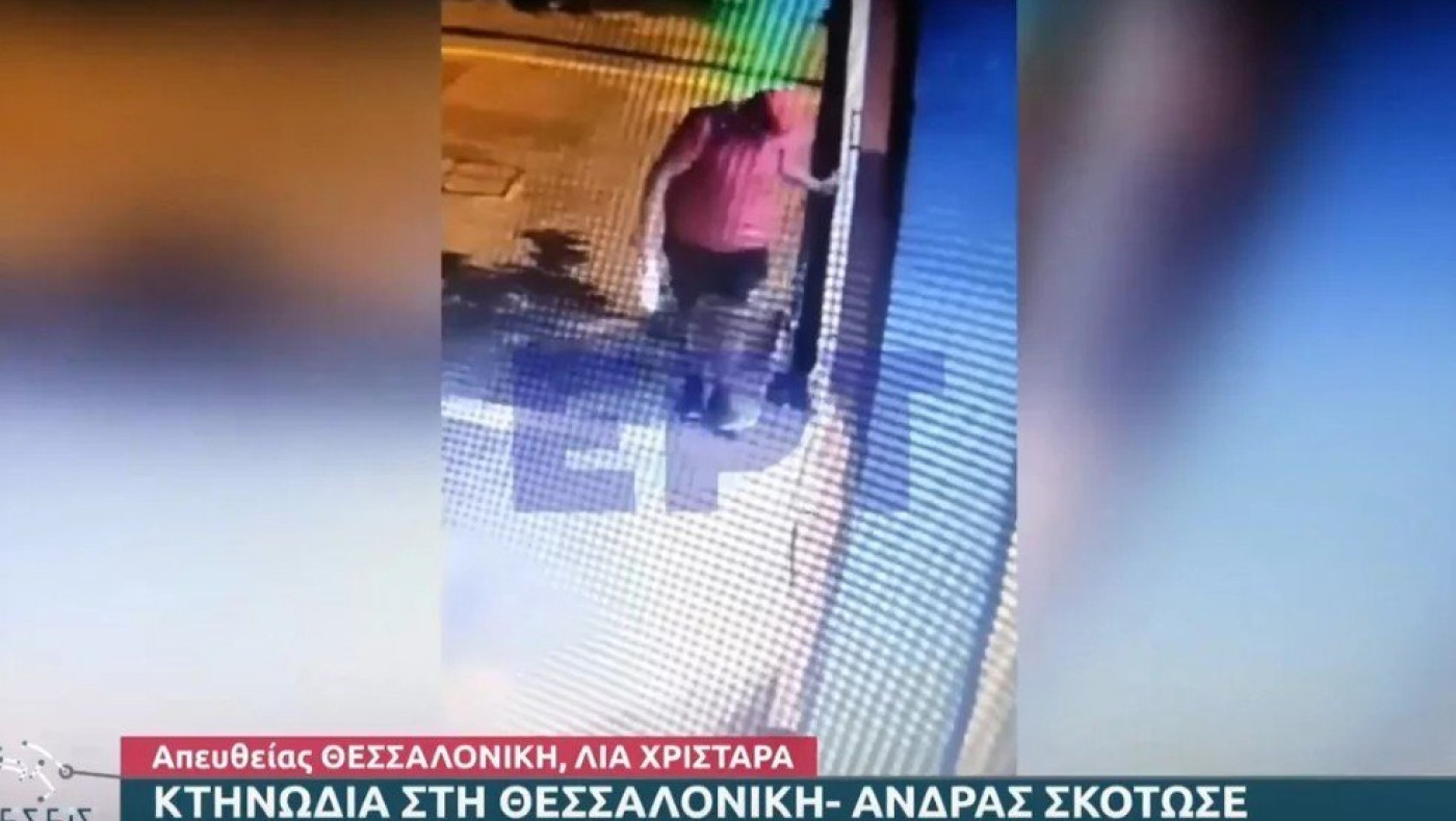 Σκληρές εικόνες στη Θεσσαλονίκη με άνδρα να σκοτώνει γατάκι