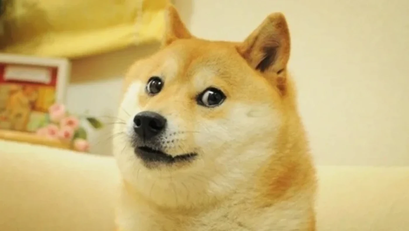 Ιαπωνία: Πέθανε ο σκύλος που ενέπνευσε το Dogecoin και αποθέωσε ο Έλον Μασκ