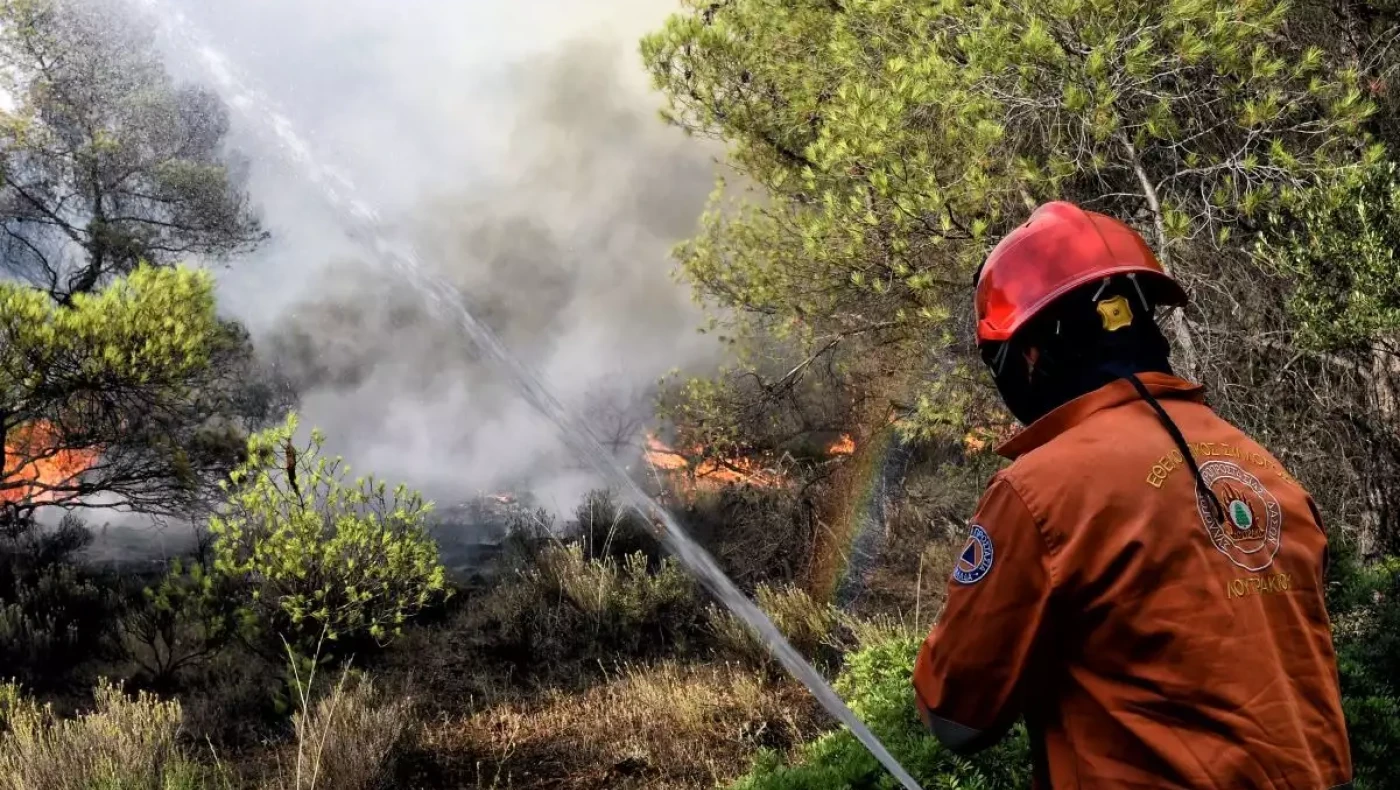 Χαλκιδική: Φωτιά στην Κασσανδρεία κοντά σε φωτοβολταϊκό πάρκο