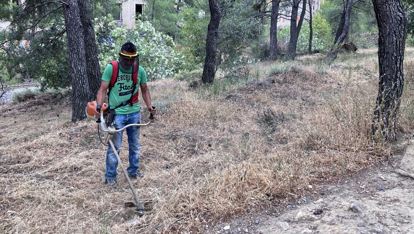 Ακαθάριστα Οικόπεδα: Λήγει η προθεσμία για τις δηλώσεις-Ποιοι κινδυνεύουν με πρόστιμα