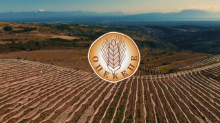 Σημανδράκος: «Η Κρήτη είχε περισσότερα αιγοπρόβατα παρά μύγες»