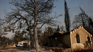 Φωτιές: Αυτά είναι τα πρώτα μέτρα στήριξης για τους πυρόπληκτους