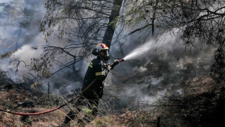 Μαίνεται το μέτωπο στο δάσος της Δαδιάς - Μάχη με τις αναζωπυρώσεις