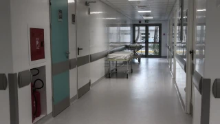 Αυστρία:  Άντρας έκοψε το πέος με τσεκούρι και το έβαλε σε βάζο