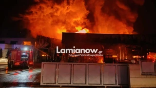 Λαμία: Πώς κατακάηκε το εργοστάσιο που σχετίζεται με την τροφική δηλητηρίαση μαθητών