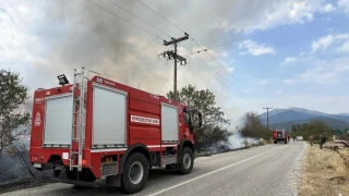 Κιλκίς: Πυρκαγιά στην περιοχή Κορώνα, κινητοποίηση της Πυροσβεστικής
