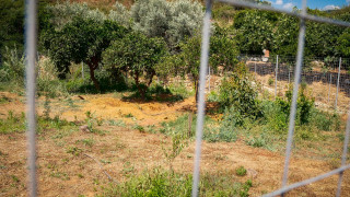 Κυνικός ο δολοφόνος της Σταυρούλας Λεβεντάκη: «Θα μπλέξω για μια τρελή»