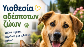 Υιοθετείς αδέσποτο – Πληρώνεις λιγότερα δημοτικά τέλη