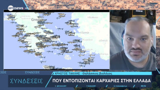 Καρχαρίες στην Ελλάδα: Ποια είδη υπάρχουν-Πού εντοπίζονται